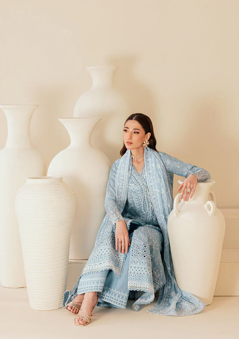 AIK LAWN B260-1B - Image 3