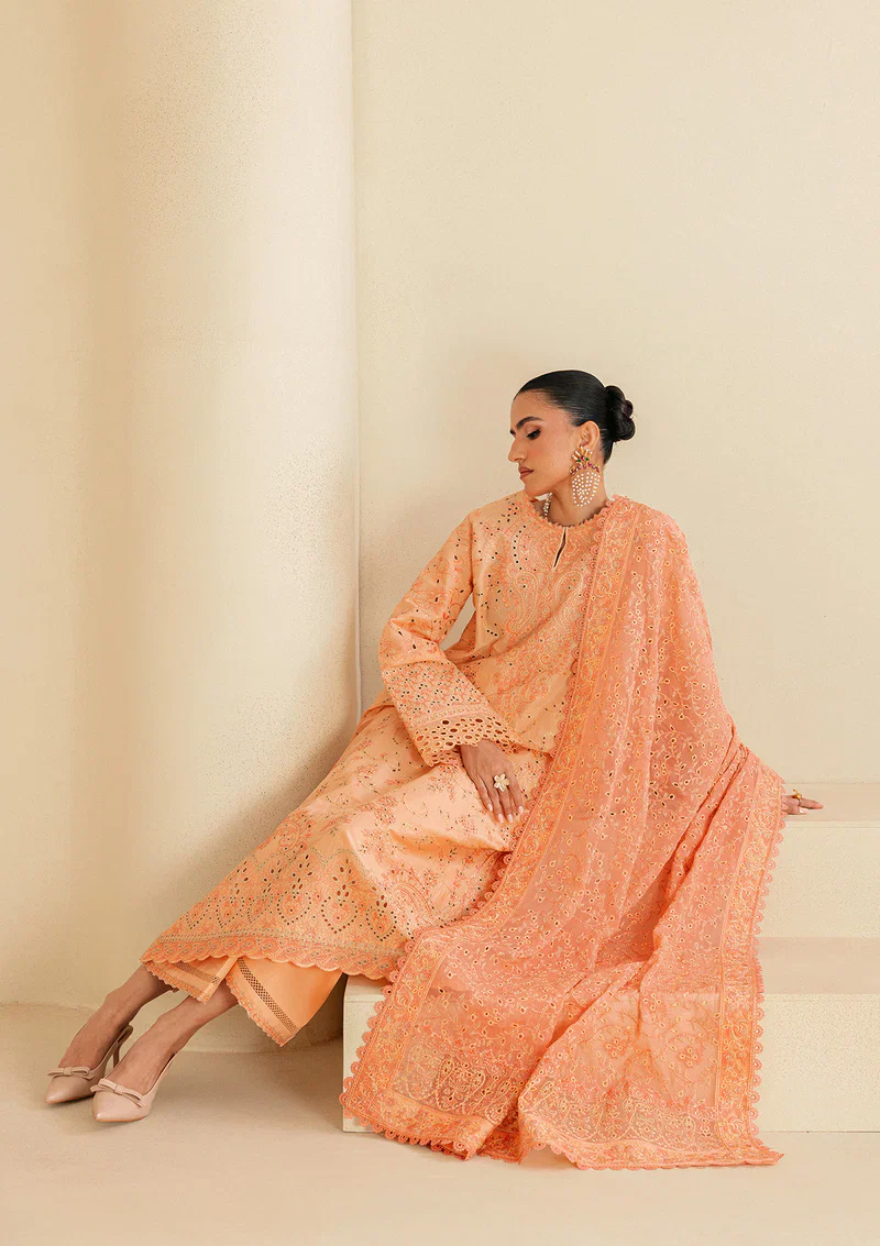 AIK LAWN B260-2B - Image 3