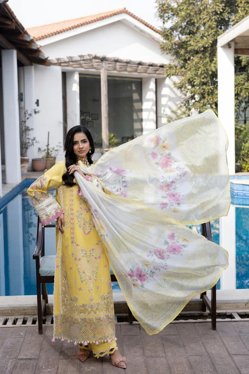 GULMINA DIL KASH LUXURY D01 - Image 7