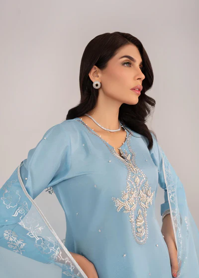 IZNA HAMZA DAWN 3PC - Image 7