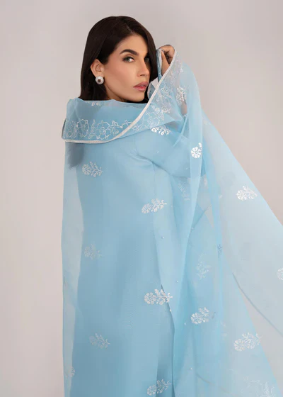 IZNA HAMZA DAWN 3PC - Image 8