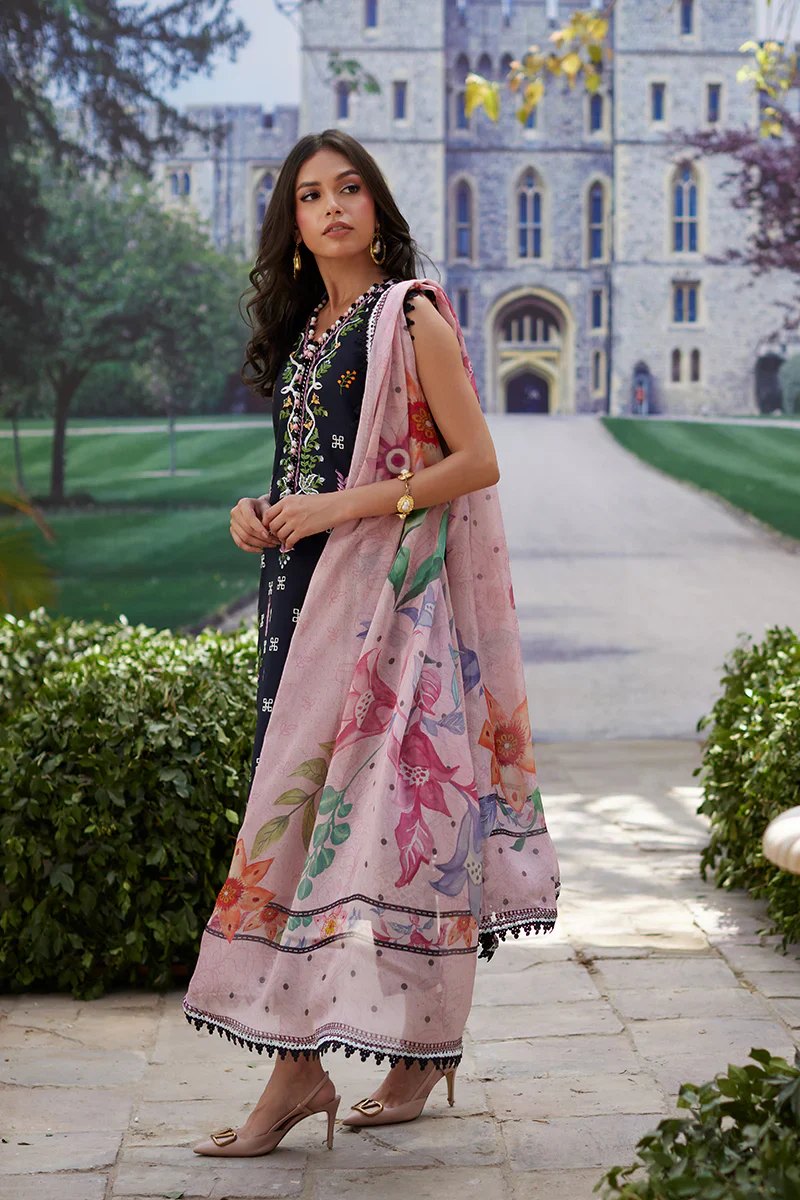 MINA HASAN SASHA - Image 7