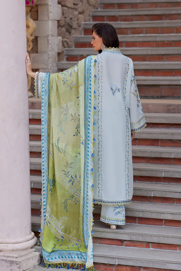 NIDA AZWER OLIVE BRANCH - Image 4