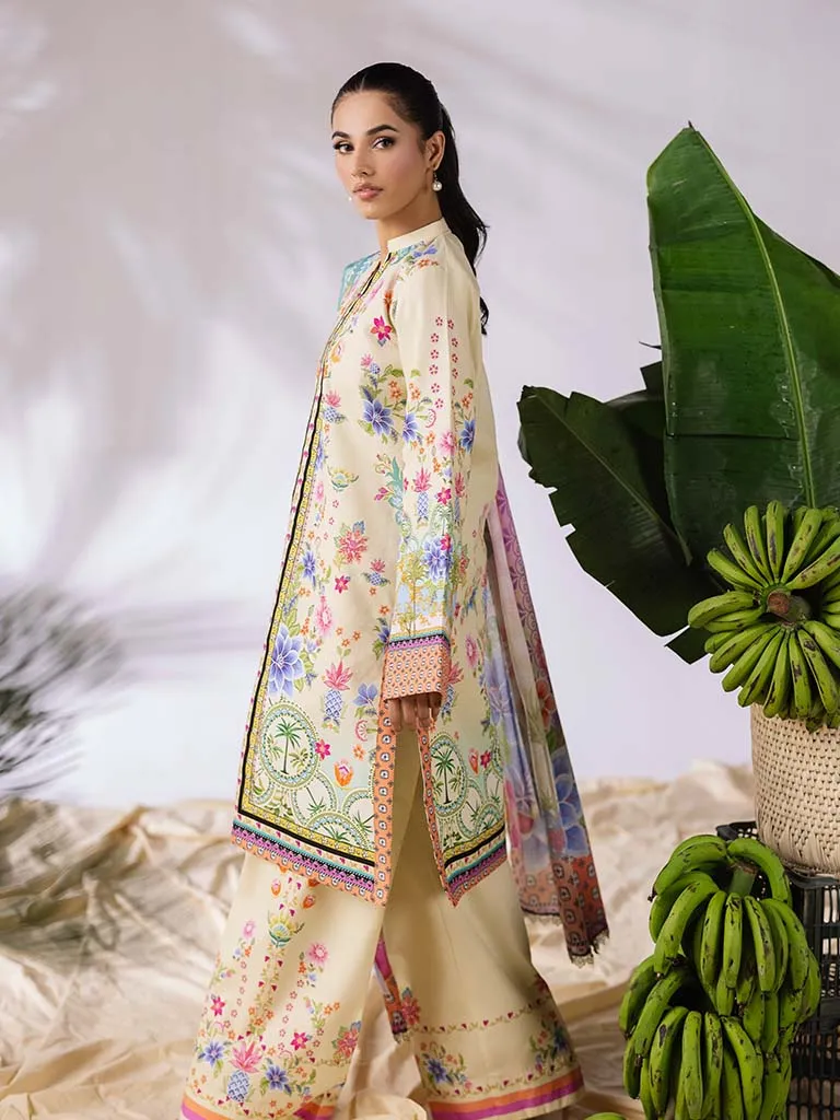 RAJBARI AMAL D-01 - Image 4