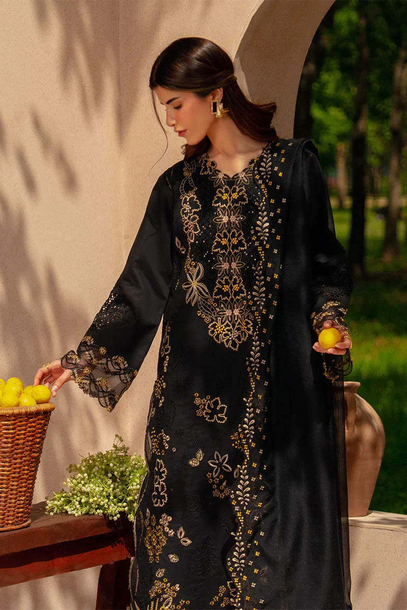 RANG RASIYA LUXURY EID LAYL - Image 13