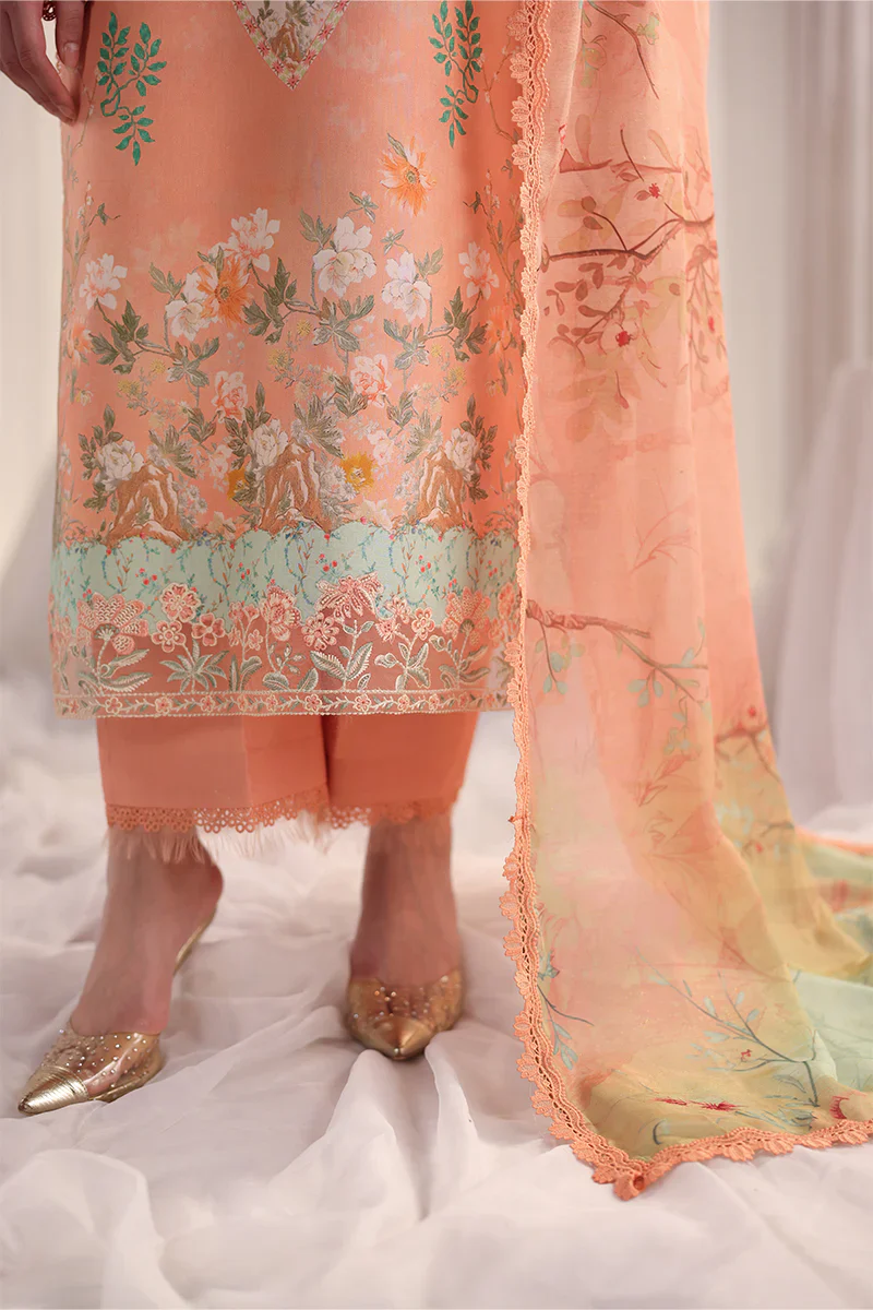 RANG RASIYA NOVA SUMMER CECILIA - Image 3