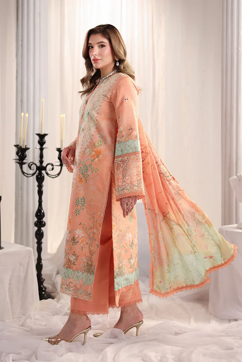 RANG RASIYA NOVA SUMMER CECILIA - Image 4