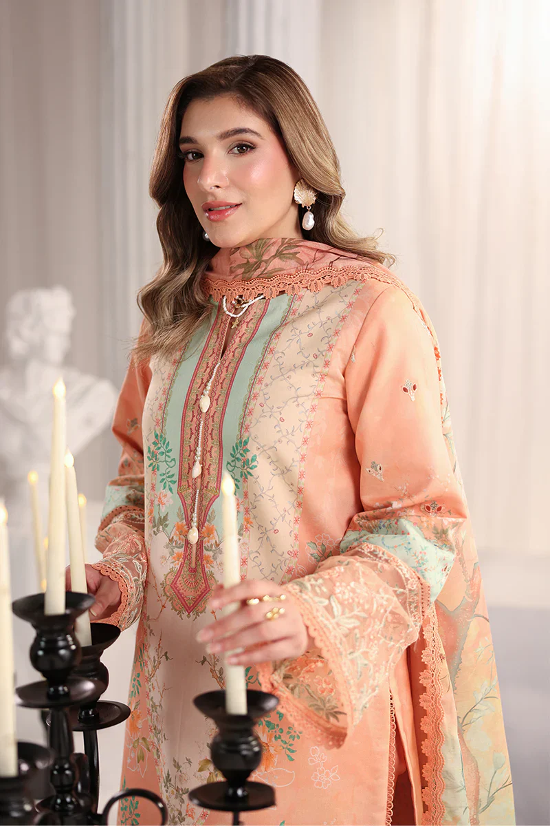 RANG RASIYA NOVA SUMMER CECILIA - Image 6
