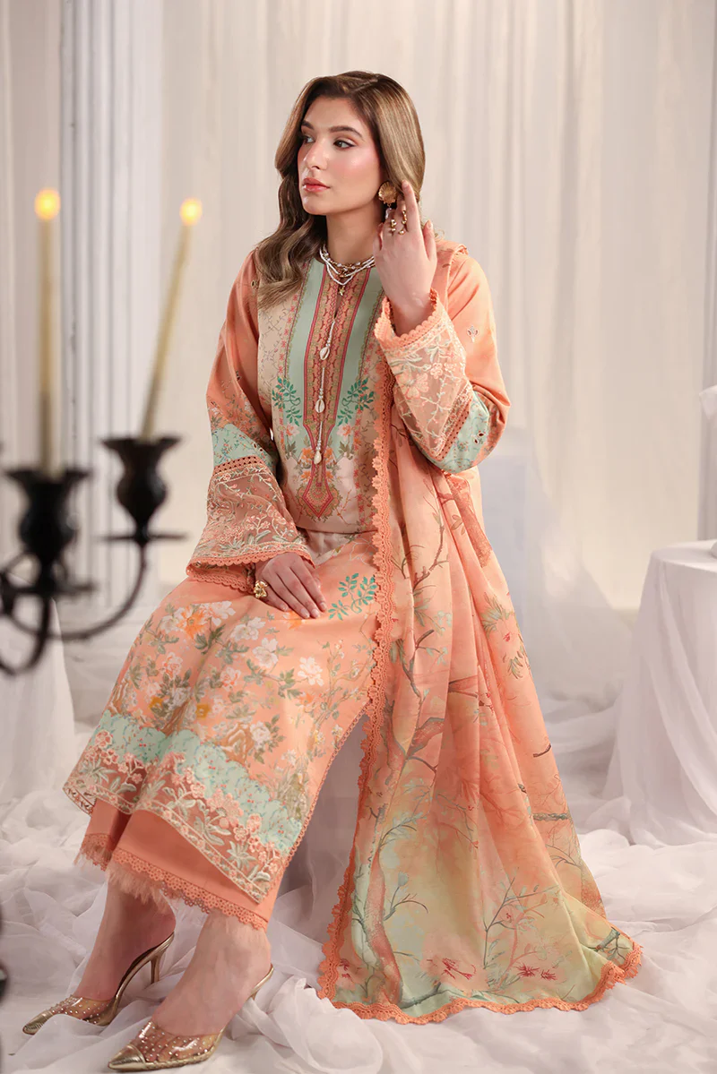 RANG RASIYA NOVA SUMMER CECILIA - Image 8