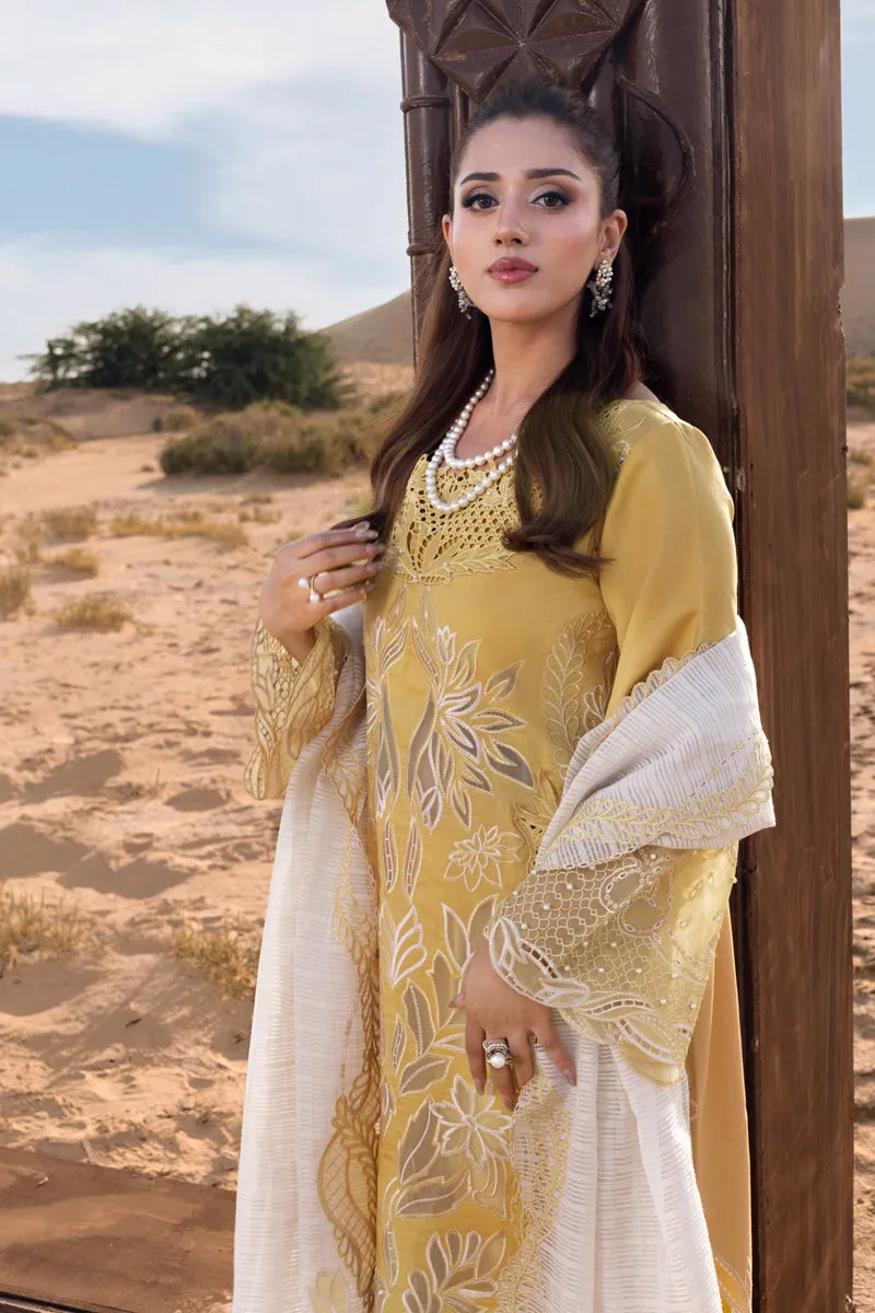 RANG RASIYA PREMIUM COLLECTION HOORAIN - Image 5