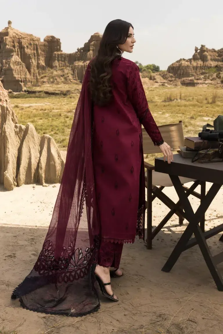 RANG RASIYA PREMIUM D-07 - Image 2