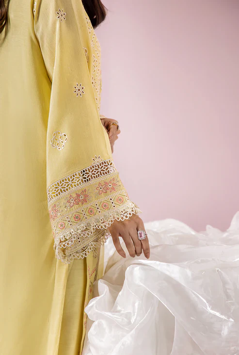 SAAD SHAIKH EID EDIT AMELIA - Image 9