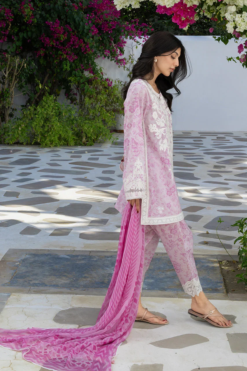 SANIA MASKATIYA RUMI A - Image 2