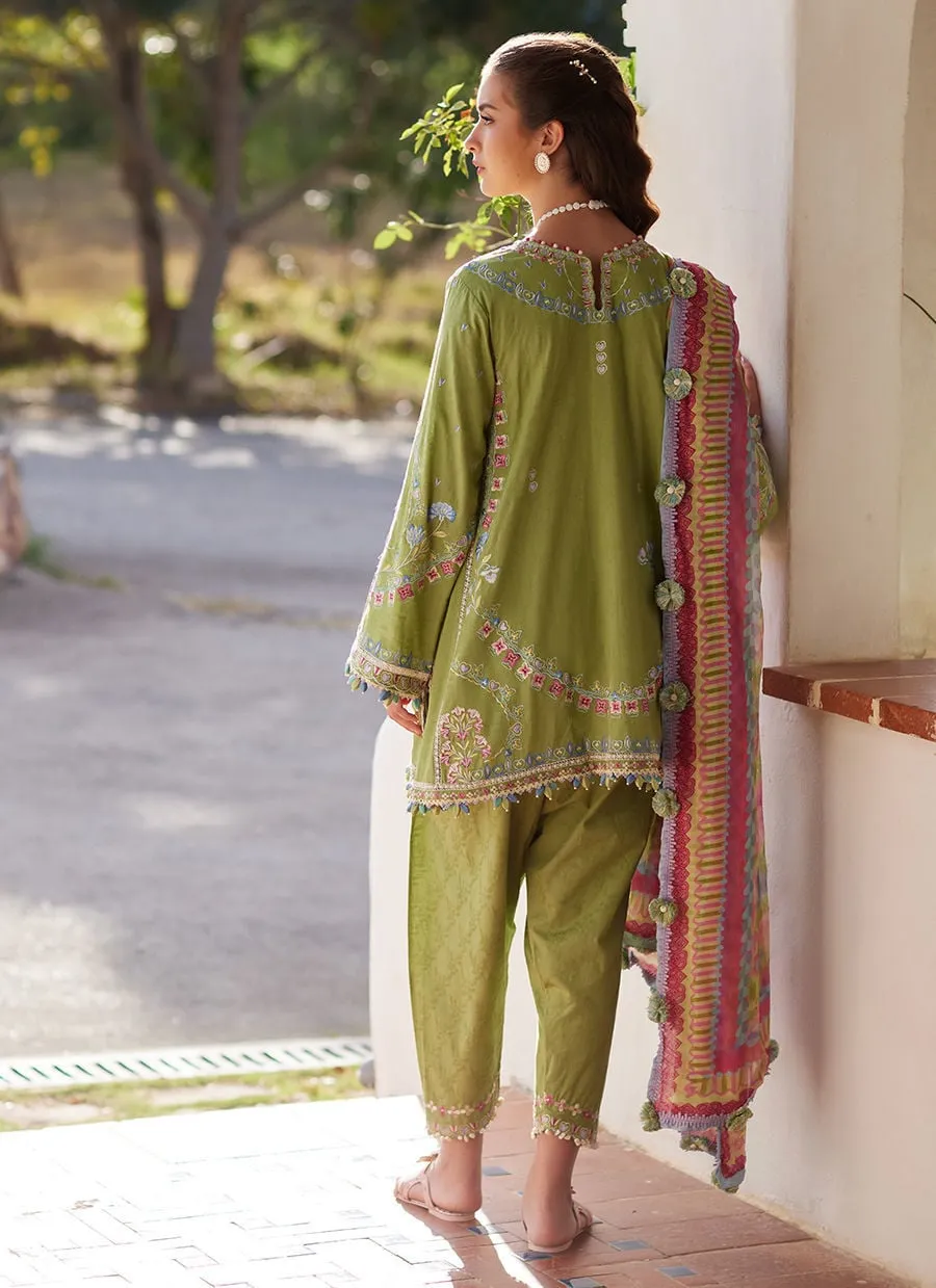 STITCHED BY CC FTA-09 FARAH TALIB 3PC - Image 5