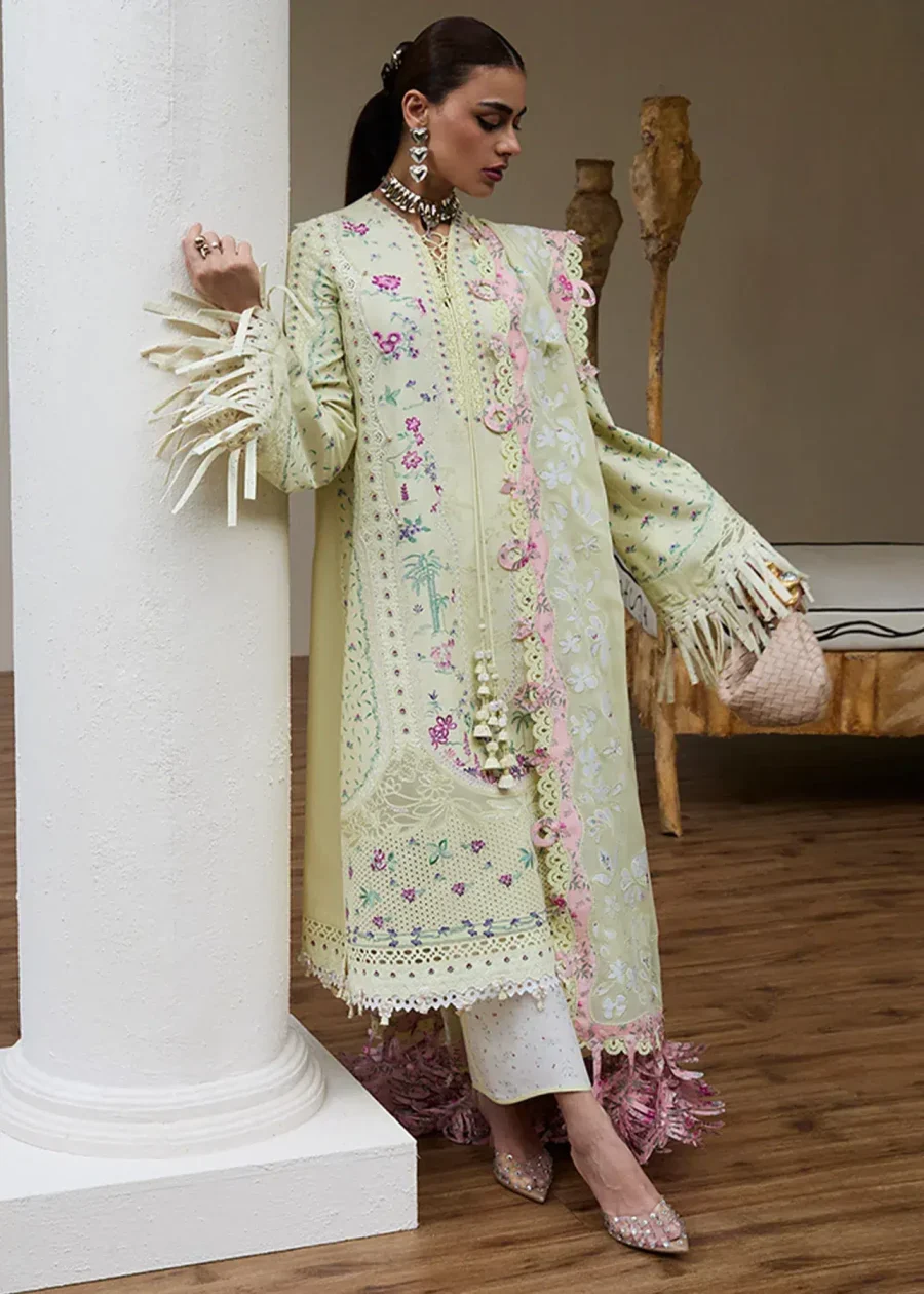 SUFFUSE FERIDA - Image 3