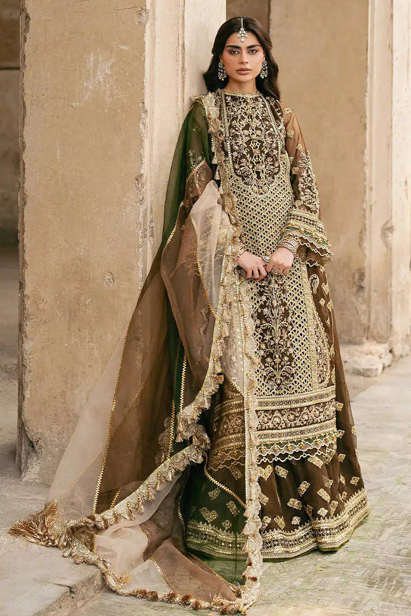 TABEER ZARLISH - Image 2