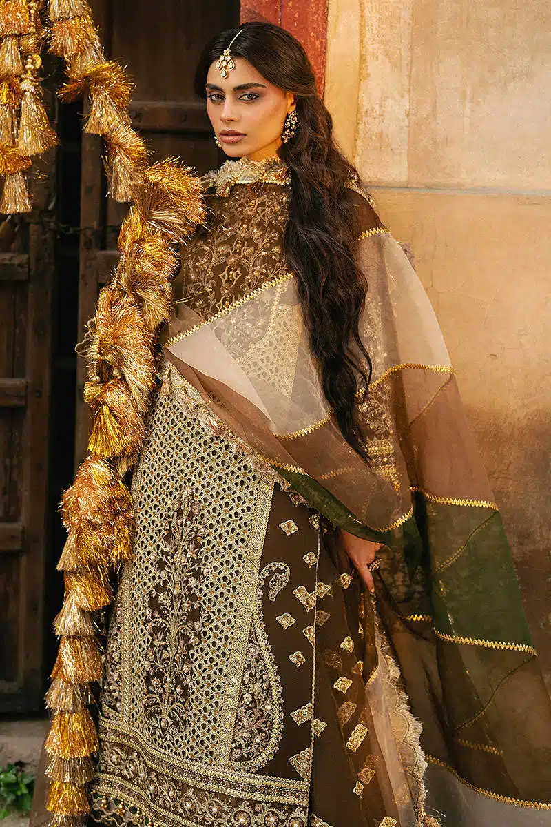 TABEER ZARLISH - Image 6