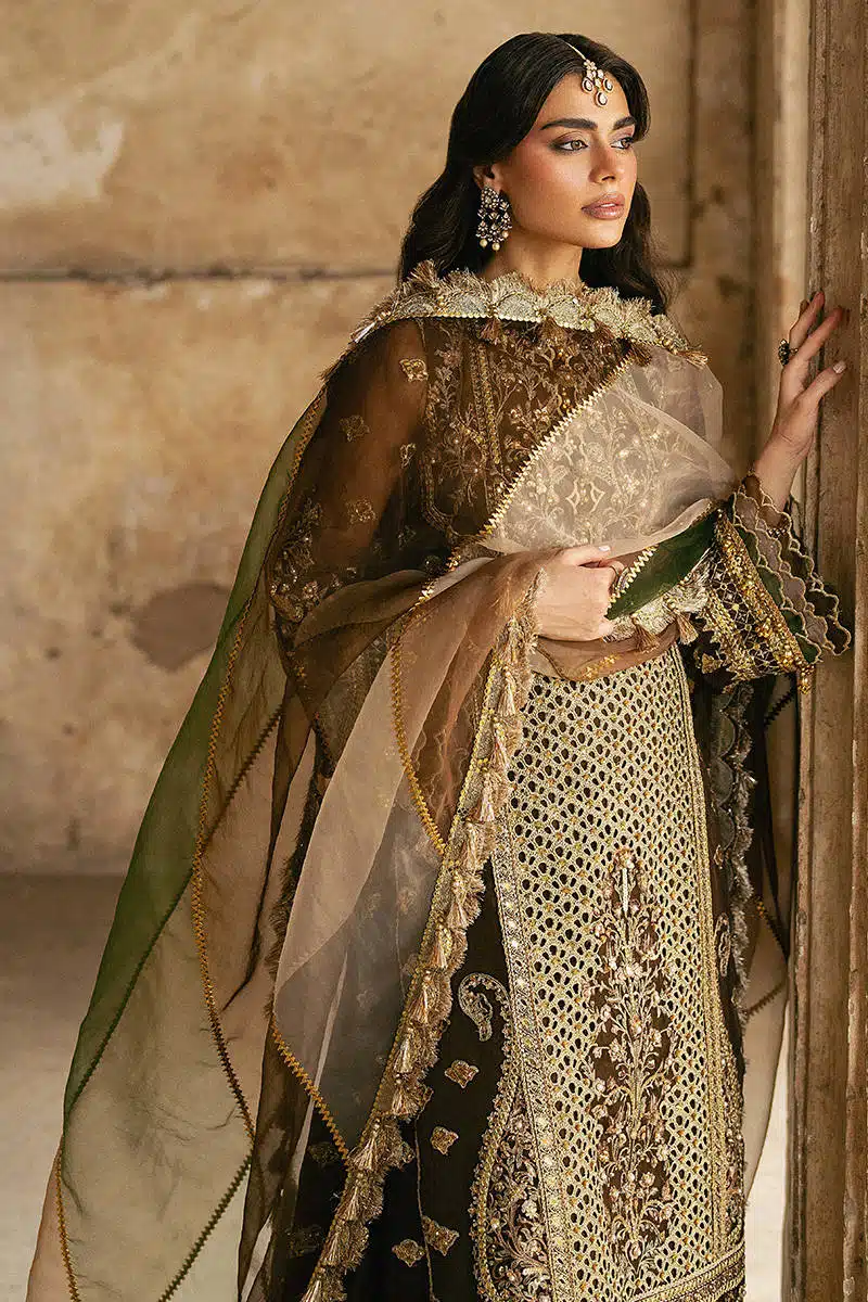 TABEER ZARLISH - Image 8