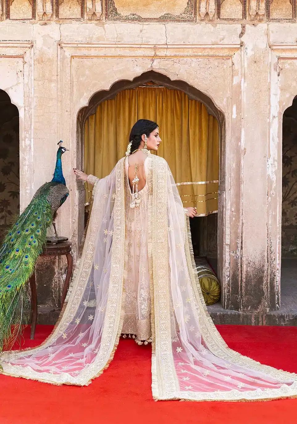 ZARQASH NAAZ - Image 5